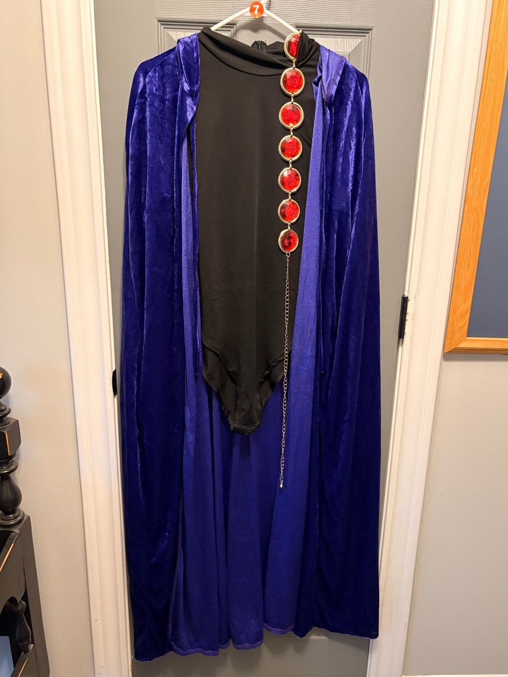 Adult XL Raven from Teen Titans Costume